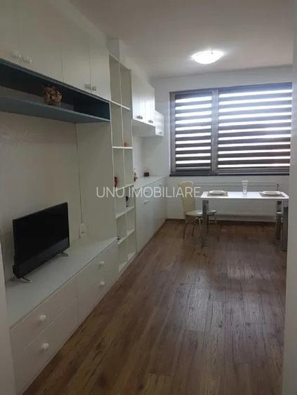 Apartament cu 1 camera - zona Tatarasi - kaufland - 7