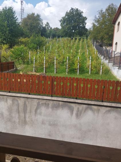 Vand casa cu 5 camere in Platoul Cornesti