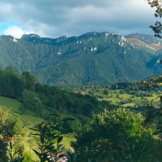 Oportunitate.Casă de locuit/casă de vacanță Bran Poarta