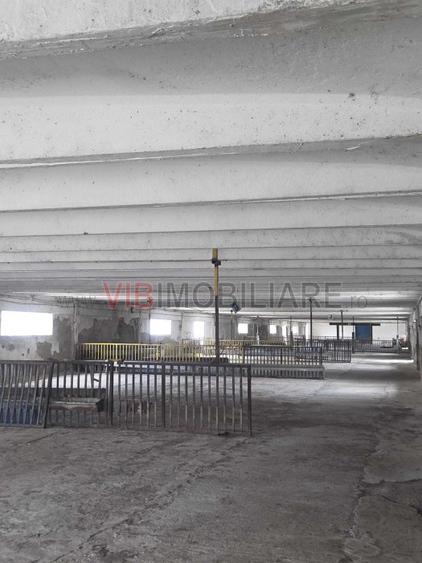 *Fermă modernă pentru export miei | 6 ha | Standarde europene | Aproape de Brăil