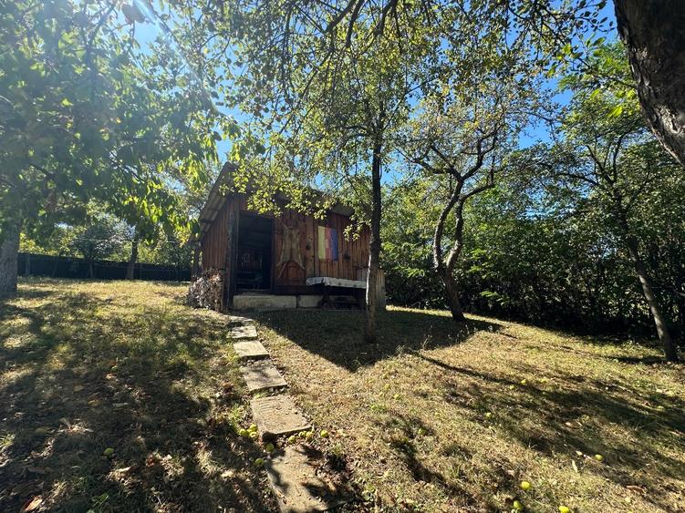 Casa de vacanta situata pe Calea Dumbravii