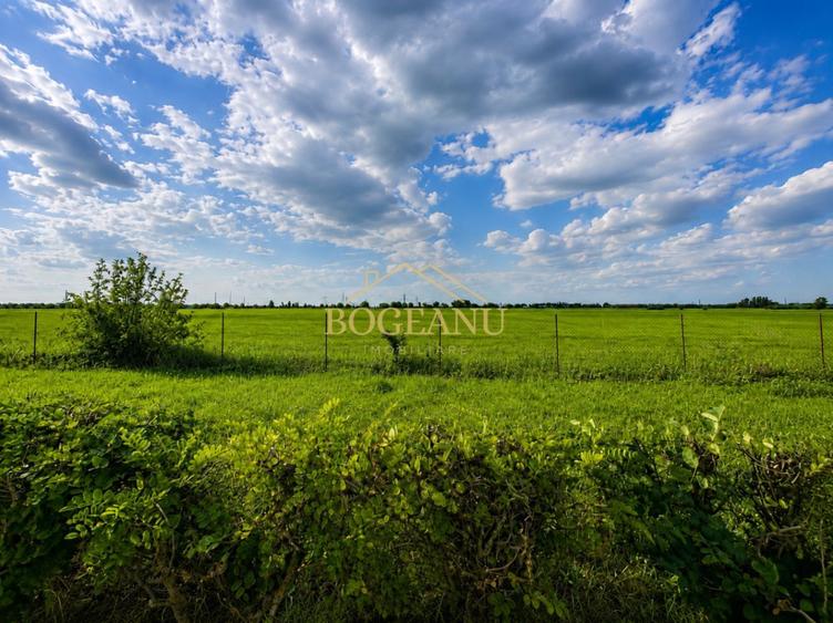BG141-Teren-46.400 mp-Front 300 ml acces TIR | INCONTRO-Calea Sagului