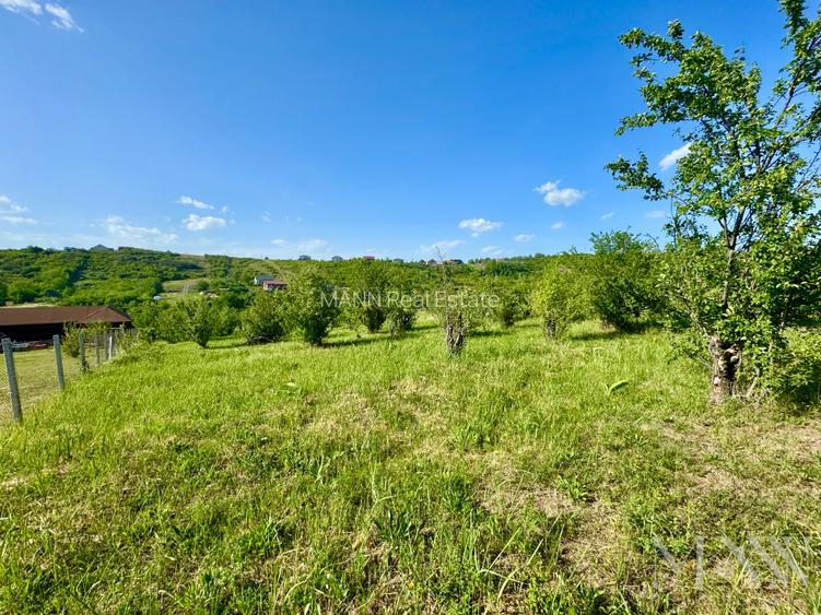 Teren intravilan de vanzare | zona Dealuri Oradea - str. Livezilor - 2