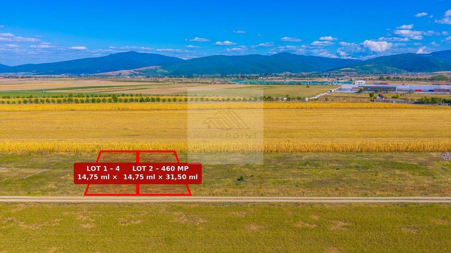 Teren 460 mp în Tărlungeni–Carpinis | Posibilitate extindere la 920 mp