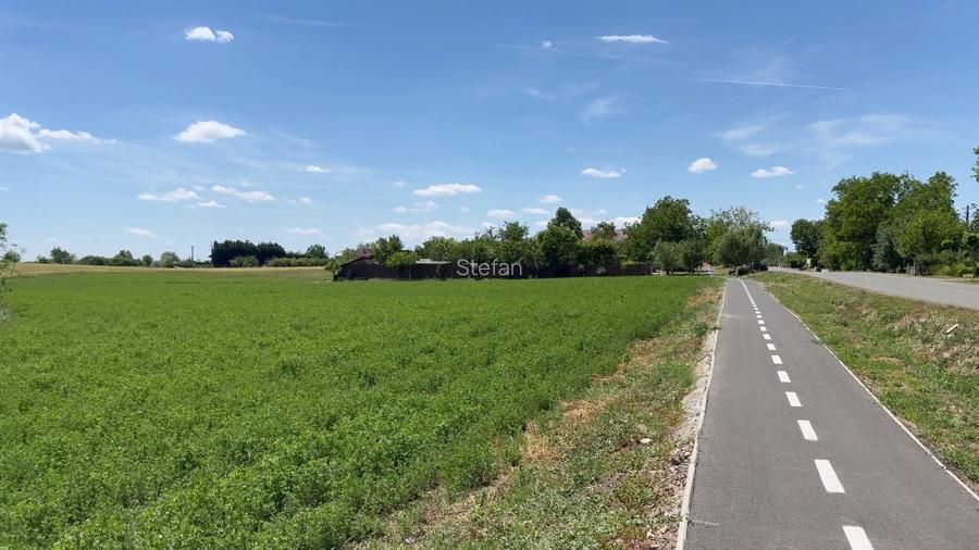 Teren intravilan Zadareni-Bodrogul Nou 8000mp 141m front - Soseaua principala - 2
