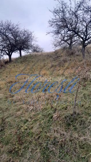Teren intravilan,  3450 mp, front 23 m, lungime 150 m in Borhanci - 3
