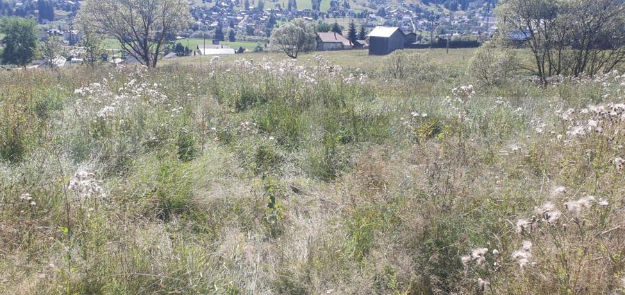 Teren intravilan de vanzare, 5872 mp, pe strada Chilia-Vatra Dornei