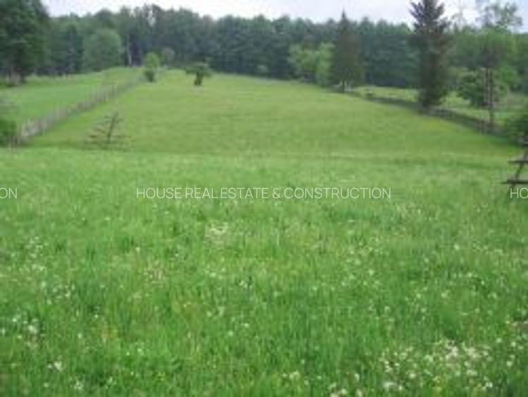 Teren intravilan situat in Traiteni,Valea Doftanei - 2