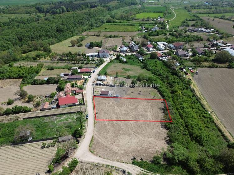 Teren 1,660mp Radulesti / Com Vanatori - 4
