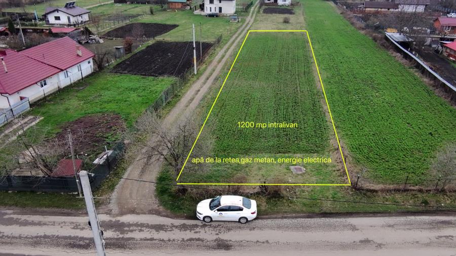 Teren 1200 mp Vadurele ,comuna Alexandru cel Bun , cu utilitati
