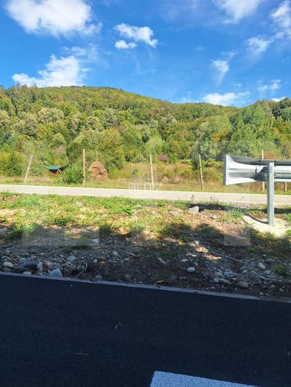 Teren de vanzare, 4847 mp, cabana, zona Nadrag - 15