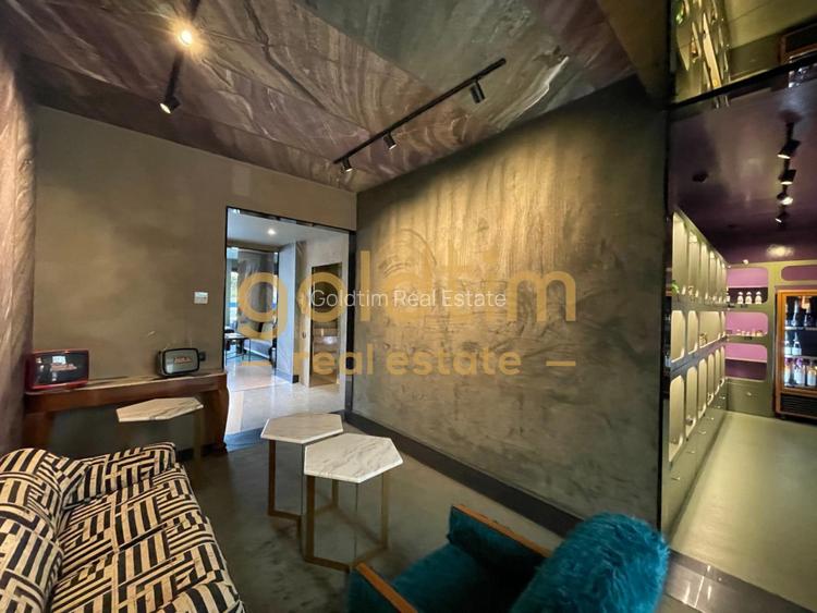 APARTAMENT UNIC/CONCEPT HOUSE/DESIGN/SERVICII HOTELIERECOMPLETE/PRIMAVERII(+TVA) - 44