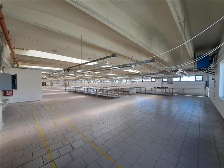 Spatiu industrial, Birouri, 3290 mp utili, situat in cartierul Iris! - 5