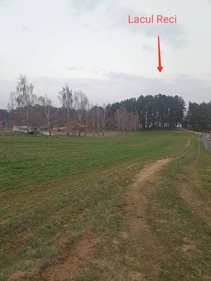 De vânzare terenuri intravilane în Reci