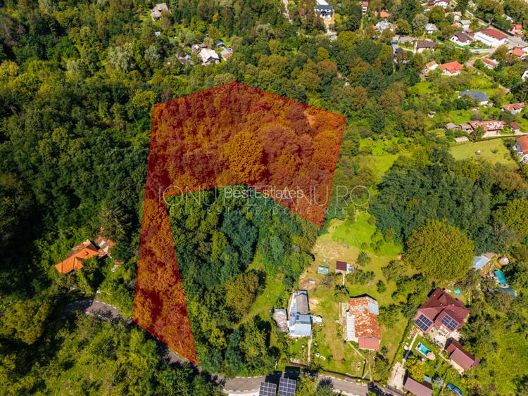 Teren 3.886 mp, Breaza - Podu Vadului, 30 m deschidere la asfalt - 4