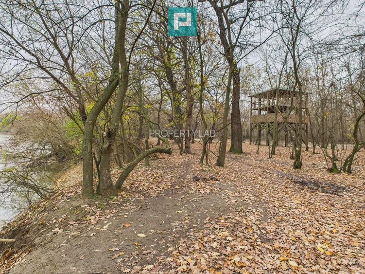 Teren pe malul Mureșului- oportunități multiple - 20