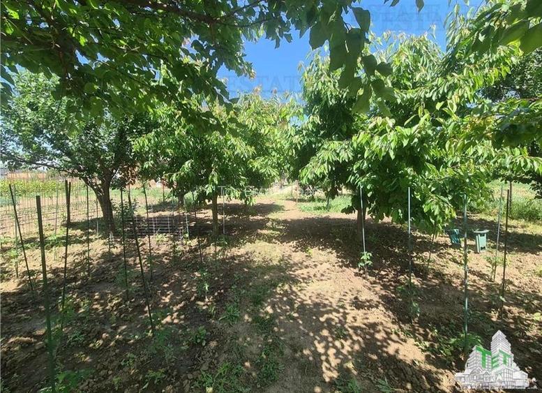 Vila individuala deosebita in Cornetu-246mp utili- teren 1537mp-complet mobilata - 15