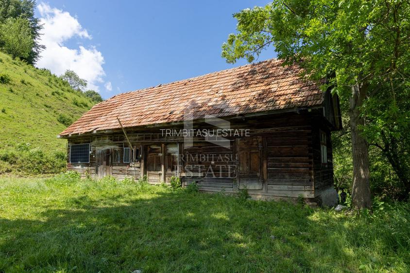 Moieciu de Jos |Teren 11.381 mp | Panoramă, potențial turistic - 4