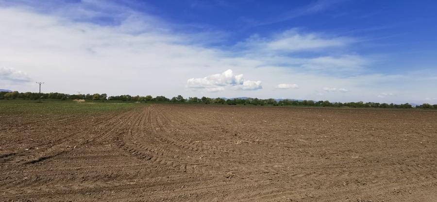 TEREN AGRICOL DE VANZARE - BOD - BRASOV 4,5 HA