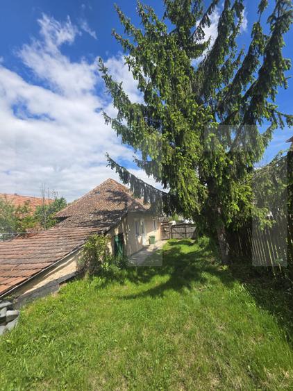 Casă țărănească în centrul localității Ilieni – teren 832 mp.