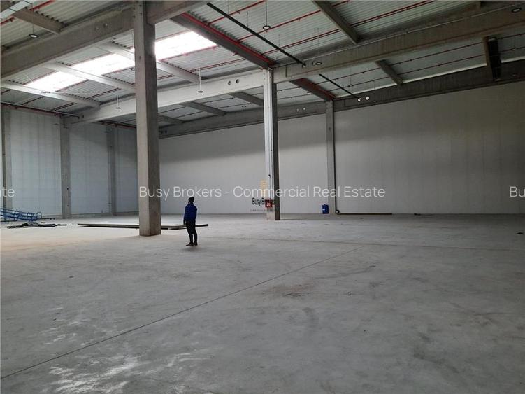 Spatiu Industrial - 5500 mp - Logistica - Productie - Depozitare - Distributie - 16