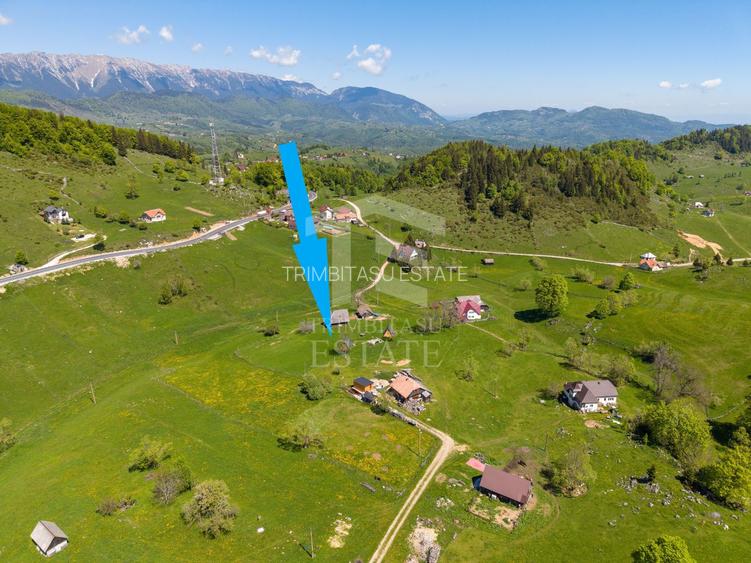 Fundata | Teren intravilan | 7,656 mp + Cabane tip A Frame - 6