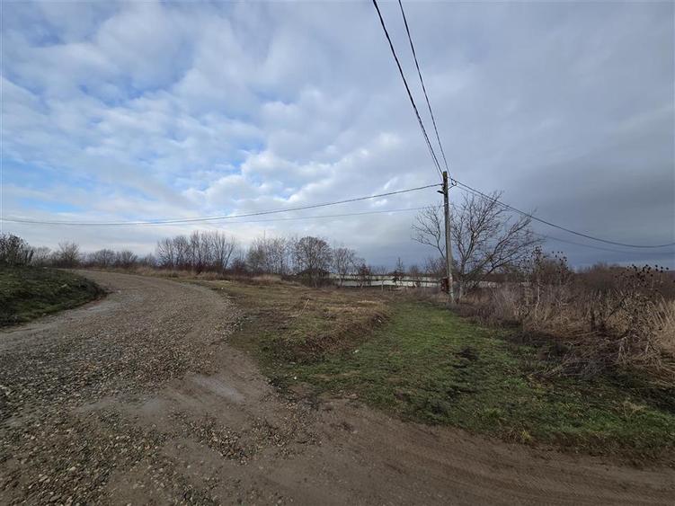 Teren intravilan,dublu front,Paleu,Oradea,Bihor
