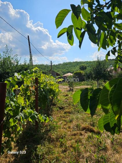 Casa de vanzare Barasti Olt - 9