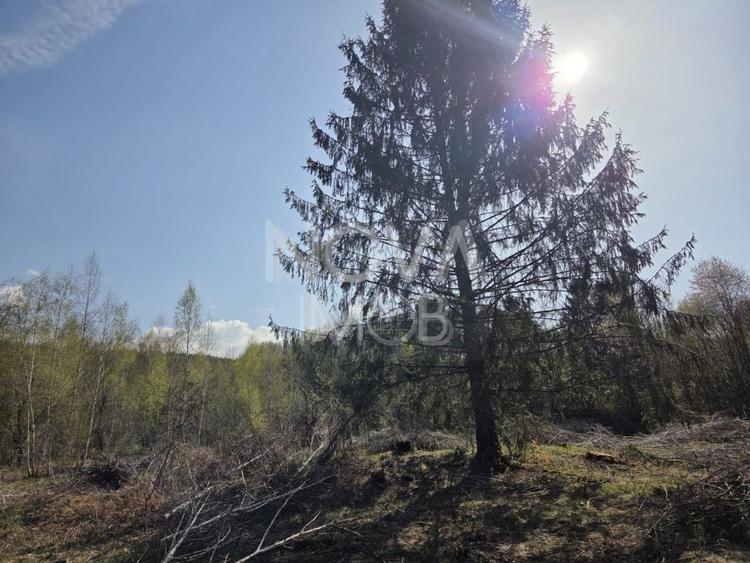 Teren intravilan de vanzare - Vistisoara
