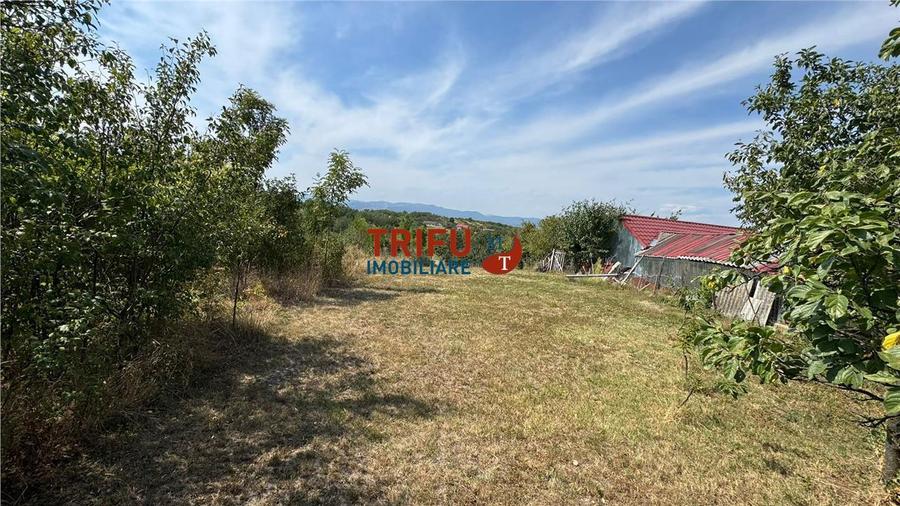 Teren intravilan 728mp in Oarda de Sus