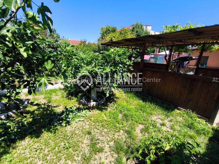 VIILE NOI - casa cu o curte generoasa disponibila imediat - 18