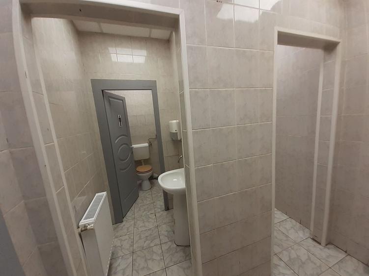 Zona bd. Th. Pallady - hala si birouri 550mp