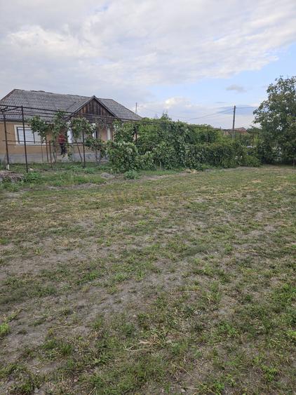 Casă de renovat + 2.900 mp teren, front 38 m – potențial construcție, Ilisua