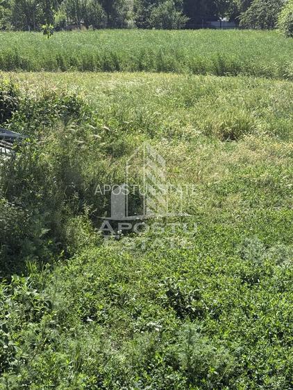 Casă veche în Bazos cu teren 1439 mp - 5
