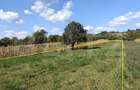 Teren intravilan în Călinești, județul Argeș - 1