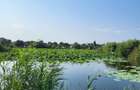 SNAGOV  În față – lacul. În spate – planurile tale. - 2