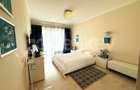 Apartament top cu 4 camere, 3 bai | Vedere panoramica frontala mare - 14