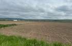 Teren extravilan 18.500 mp in Selimbar / jud. Sibiu - 3