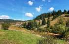 Pensiune 9 camere, iaz propriu, 3.808 mp teren -Mestecanis19 min de Vatra Dornei - 7