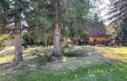 Teren Intravilan de 3300 mp de Vanzare in Marisel - 3