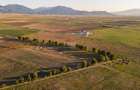 Teren extravilan 44.000 mp (4,4 ha) | Hărman | Comision 0% - 8