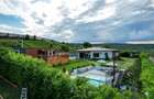 COMISION 0% | DOMENIU PREMIUM CU 11.200 MP TEREN | PISCINA | CORUSU - 3