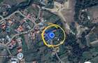 Teren de Vanzare in Plopu - Darmanesti, cu plata in rate - 7
