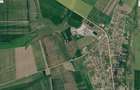 Teren agricol extravilan 19 ha în Crucea – asfalt, utilități și pârâu - 1