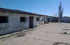 Teren intravilan Mogosesti | Giurgiu | 370.000mp | Adunatii Copaceni - 14