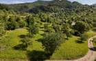 Teren intravilan 5.105 mp, Baia Sprie, la intrare pe Valea Chiuzbăii - 7
