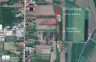 TEREN CU POTENTIAL - Satu Mare - 4