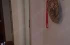 Apartament 2 Camere | Decomandat | Centrala Proprie | Aparatorii Patriei - 9