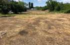 Vand teren intravilan Prundu, 2900 mp,front str. 110 ml - 649000 euro negociabil - 1