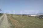 Teren intravilan, 15.904 mp, zona Dambu - 3